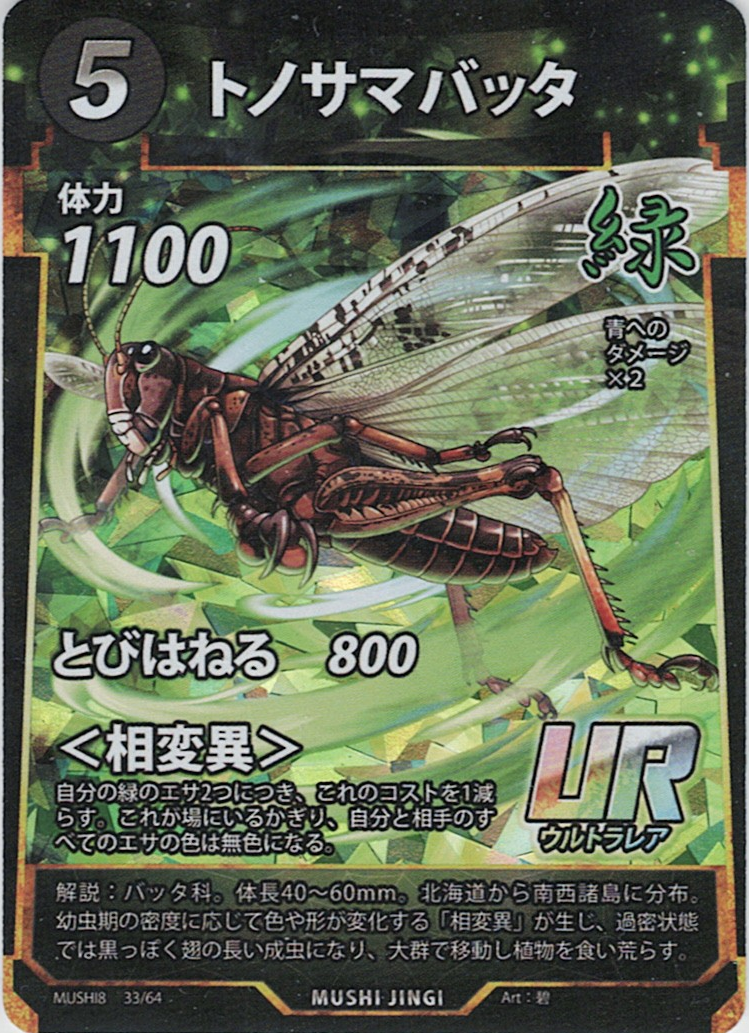 MUSHI8-033 UR トノサマバッタ